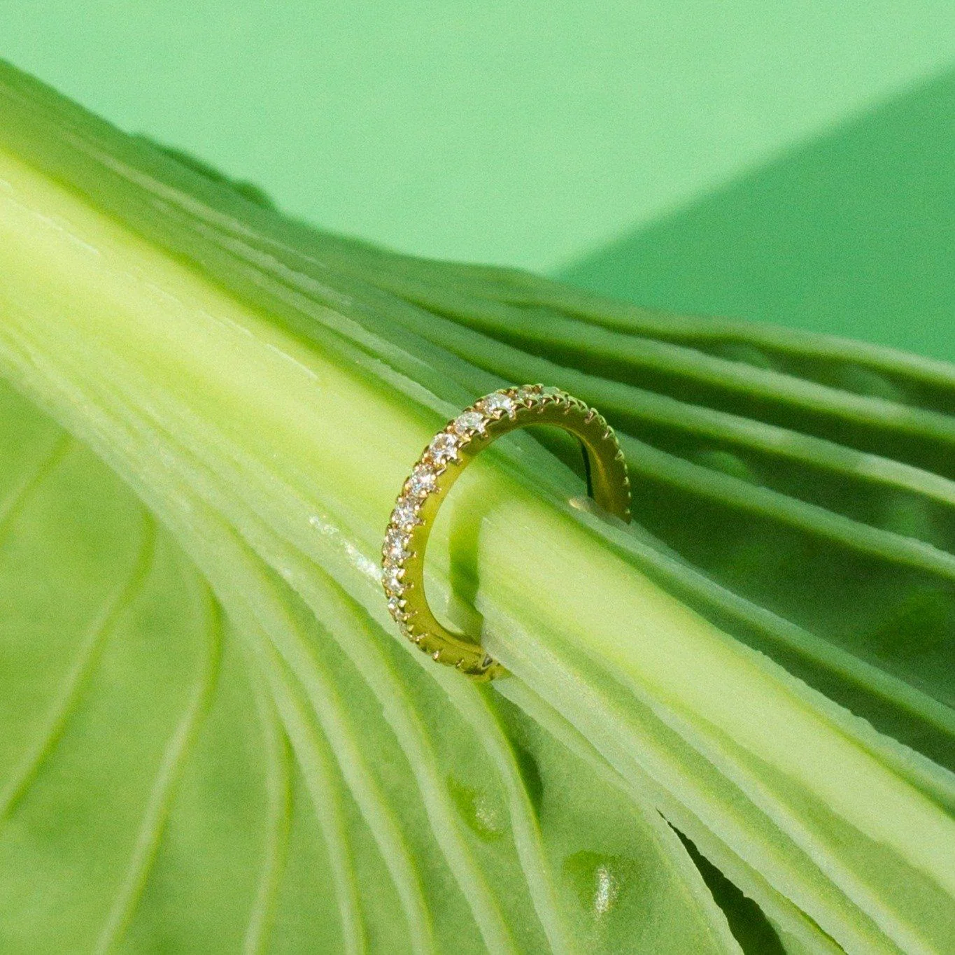 Mini Ear Cuff with Diamonds - Image 19